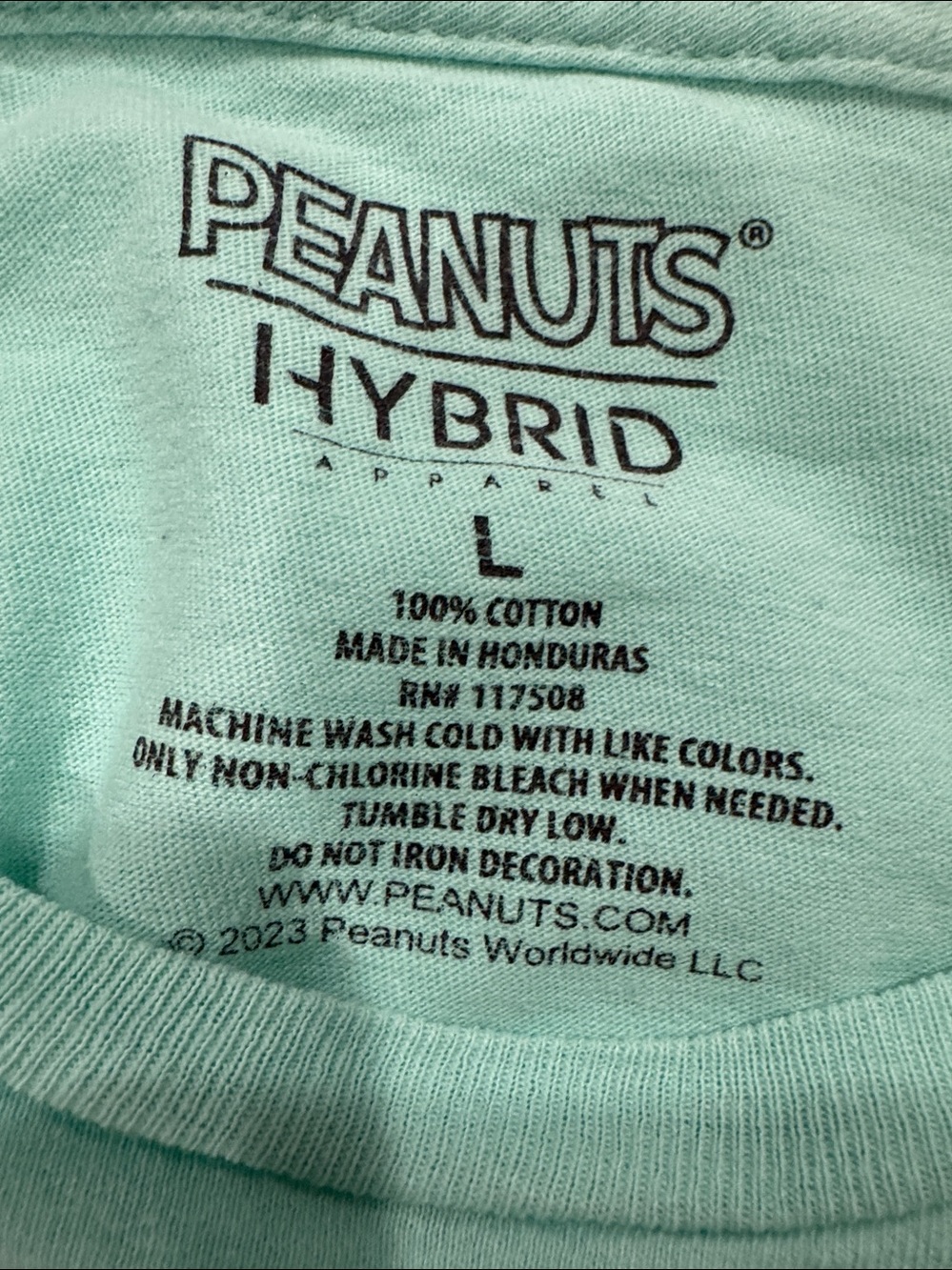 Peanuts Hybrid snoopy graphic Tee in Mint - Picture 4 of 4